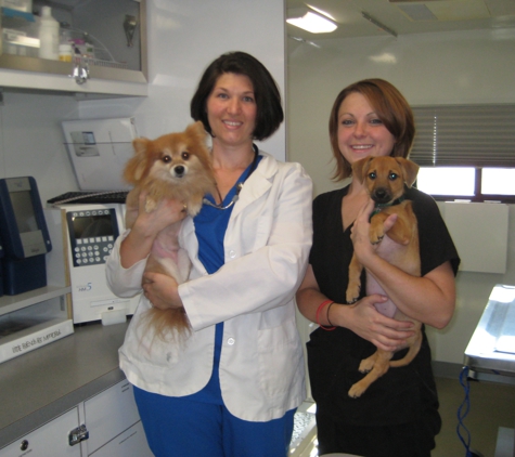 Houston Mobile Vet Clinic