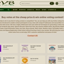 OnlineVotesBuy - Internet Marketing & Advertising