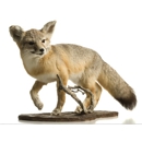 Fancy Stuff - Taxidermists