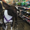 Pet Supplies Plus gallery