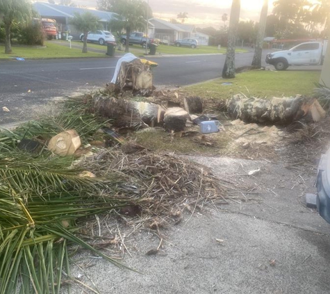 Bull's Tree Service - Whitfield, QLD