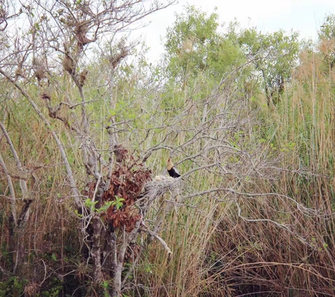 Everglades Safari Park - Miami, FL