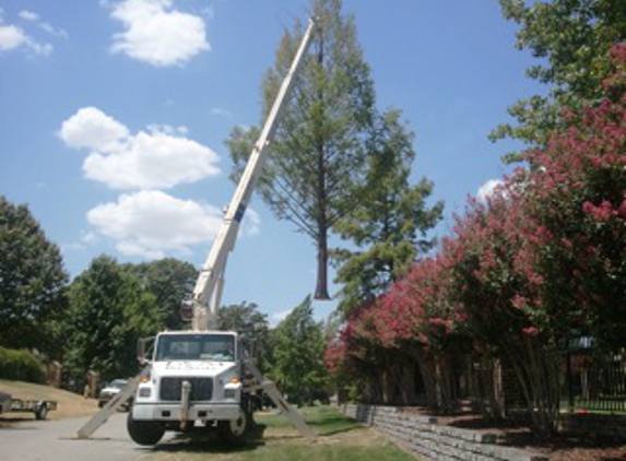 T & M Tree Service - Coweta, OK