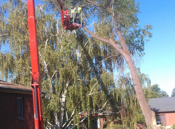 Nye's Tree Service & Stump Removal