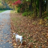 Baltimore-Annapolis Trail Park gallery