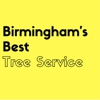 Birmingham's Best Tree Service gallery