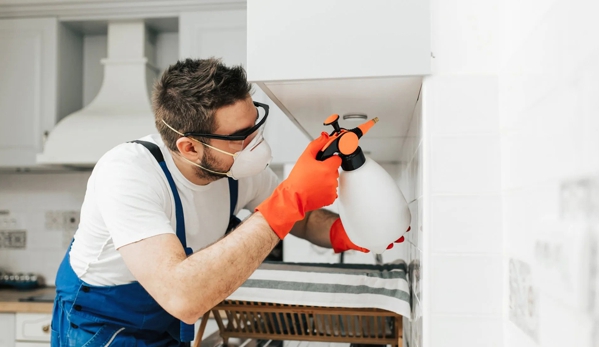 Bligh Park Pest Control - South Windsor, NSW