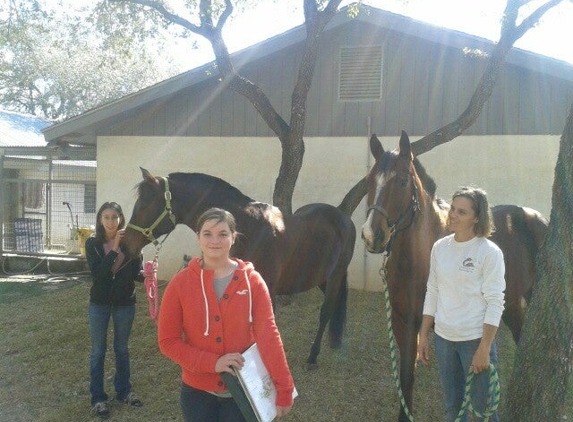 South Texas Veterinary Clinic - Beeville, TX