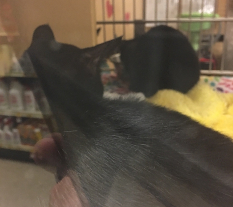 PetSmart - Mountain View, CA