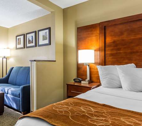 Comfort Suites Near I-80 and I-94 - Lansing, IL