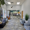 VCA Central Expressway Animal Hospital gallery