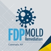 FDP Mold Remediation of Commack gallery