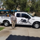 Platinum Pest Management - Pest Control Services