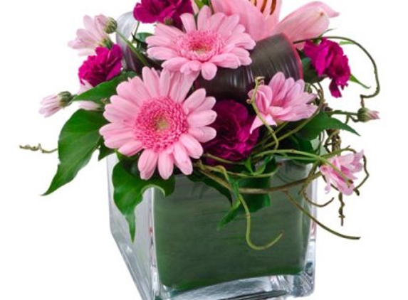 Janine Florist - Canberra City, ACT