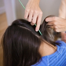 Lice Clinics of America - Westchester - Beauty Salons