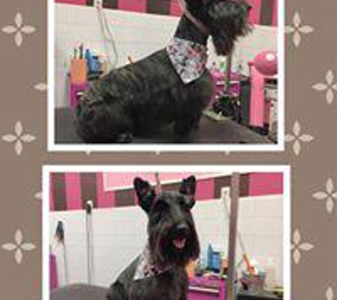 Woof Gang Bakery & Grooming Heathrow - Lake Mary, FL