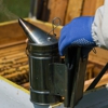 A1 Exterminators | Pest Control Solutions gallery