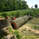 Harver Tree Service - Tree Service