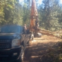 Skagit Log and Construction Inc.