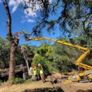 Tree Of Life - Tree Service