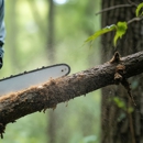 Elias Landscaping Inc. - Tree Service