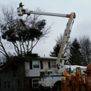 Chip's Tree & Landscape - Tree Service