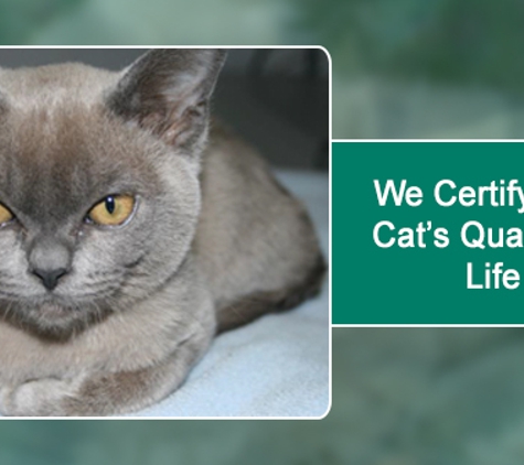 Maroondah Veterinary Clinic - Croydon, VIC. We Certify Your Cat’s Quality Of Life