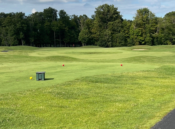 The Links at Ivy Ridge - Akron, NY