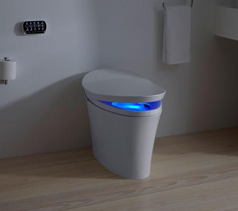 Surface Specialists of New York - Mount Vernon, NY. Expert Kohler Intelligent Toilet Repairs