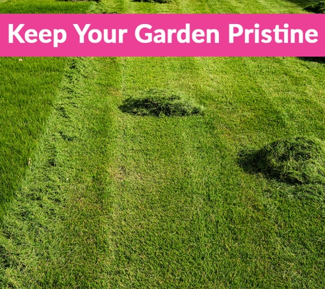 Northshore Gardening Maintenance Pty Ltd - Willoughby East, NSW. Keep Your Garden Pristine