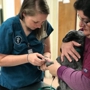 Animal Care Hospital