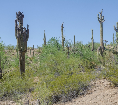 Discover Marana Visitor CTR - Marana, AZ