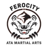 Idaho ATA Martial Arts gallery