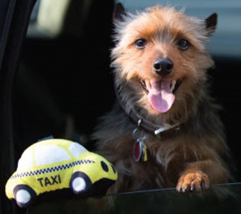 Paula's Pet Taxi & Check-In Service LLC - Willowick, OH