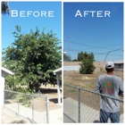 Gutierrez Tree Service