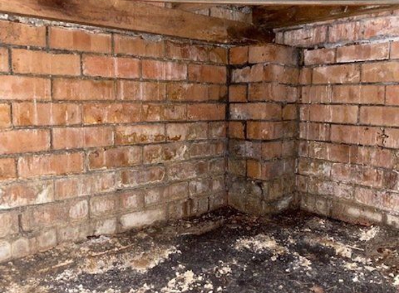 Precision Building. Rising Damp
