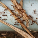 Chesapeake Exterminating Co - Pest Control Equipment & Supplies
