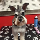 Best Little Grooming Shop in Texas - Pet Grooming