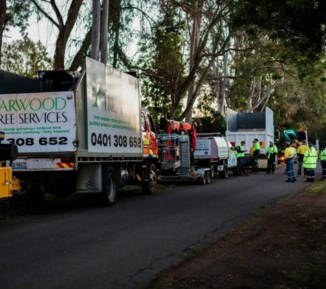 GTS Trees - Boonah, QLD