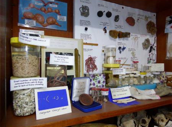 Clifton Hill Veterinary Clinic - Clifton Hill, VIC