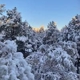 Cave of the Winds Mountain Park