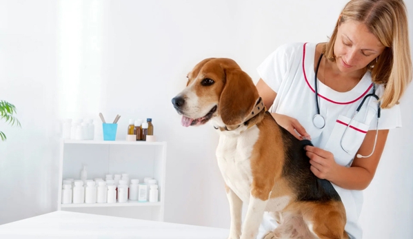 Ashcroft Veterinary Surgeons - Ashcroft, NSW