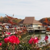 Harbortowne Marina gallery