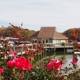 Harbortowne Marina