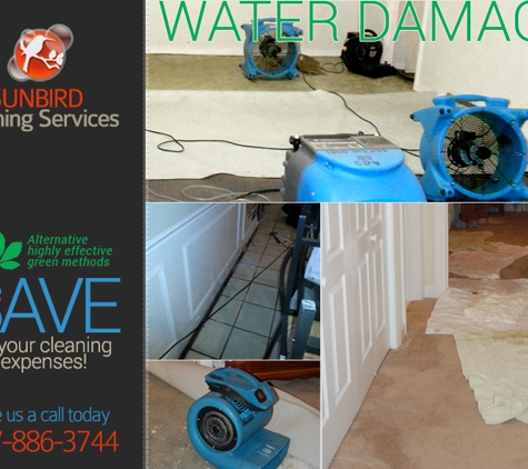 Fort Worth Carpet Cleaning - Fort Worth, TX