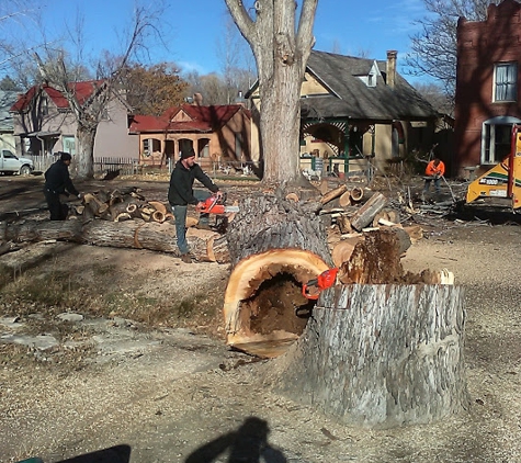 Mission Ready Tree Service. Florence Colorado