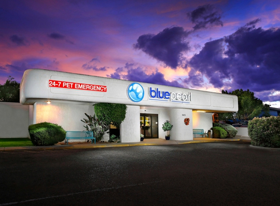 BluePearl Pet Hospital - Peoria, AZ