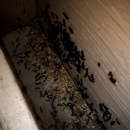 Quality Pro Pest & Wildlife Services - Parks