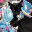 Bridgeview Pet Wellness Clinic