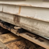 Blue Jay Termite-Pest Control gallery